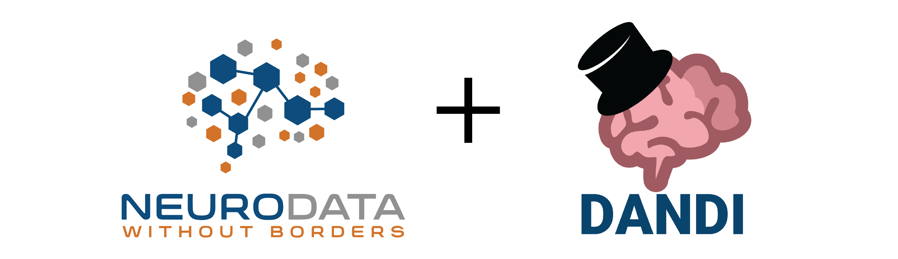 NWB & DANDI Tutorial at COSYNE 2025